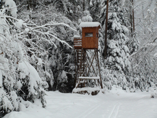 Winterlandschaft 1.jpg